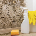 Mold Prevention