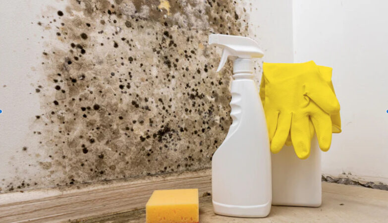 Mold Prevention