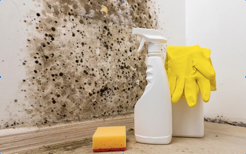 MOLD PREVENTION AND CONTROL CHECKLIST