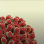 What are Bio Molecules?