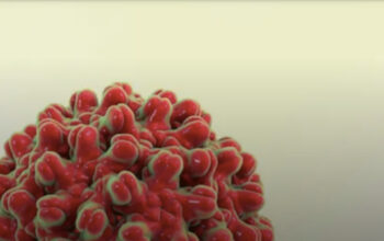 What are Bio Molecules?
