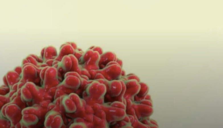 What are Bio Molecules?