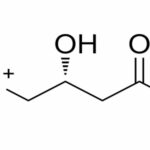 Carnitine