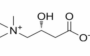 Carnitine