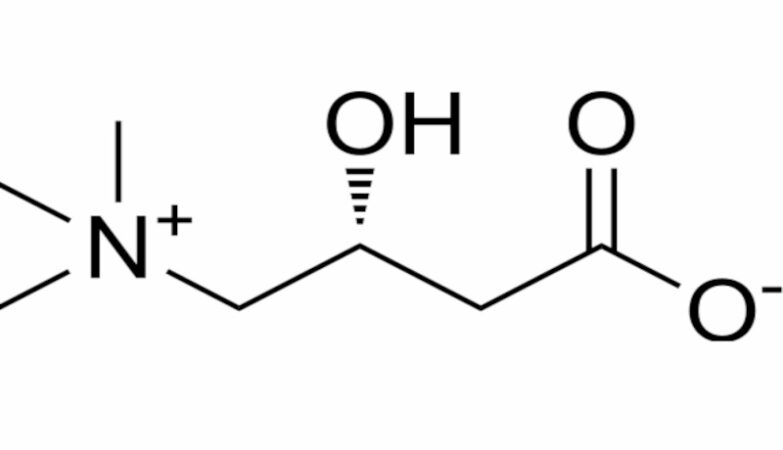 Carnitine