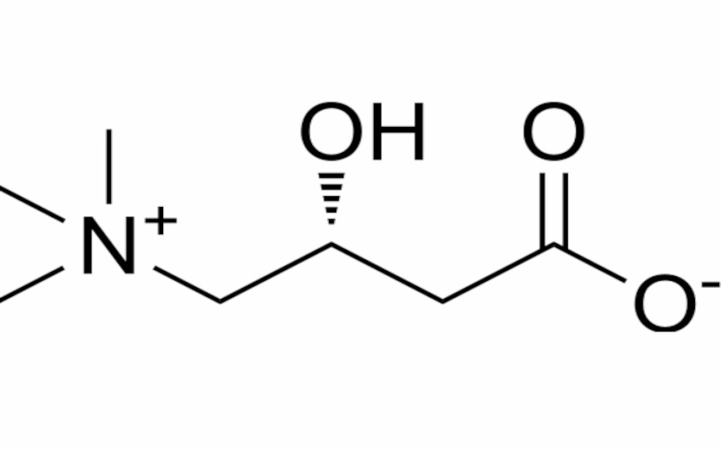 Carnitine